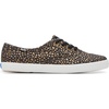 image:imageKeds Womens Champion Glitter Lace UpBlackBronze Mini Dot Canvas