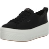 Black Canvas
